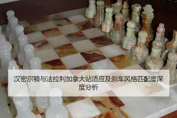 han-mi-er-dun-yu-fa-la-li-jia-na-da-zhan-shi-ying-ji-sha-che-feng-ge-pi-pei-du-shen-du-fen-xi-2-347.jpg